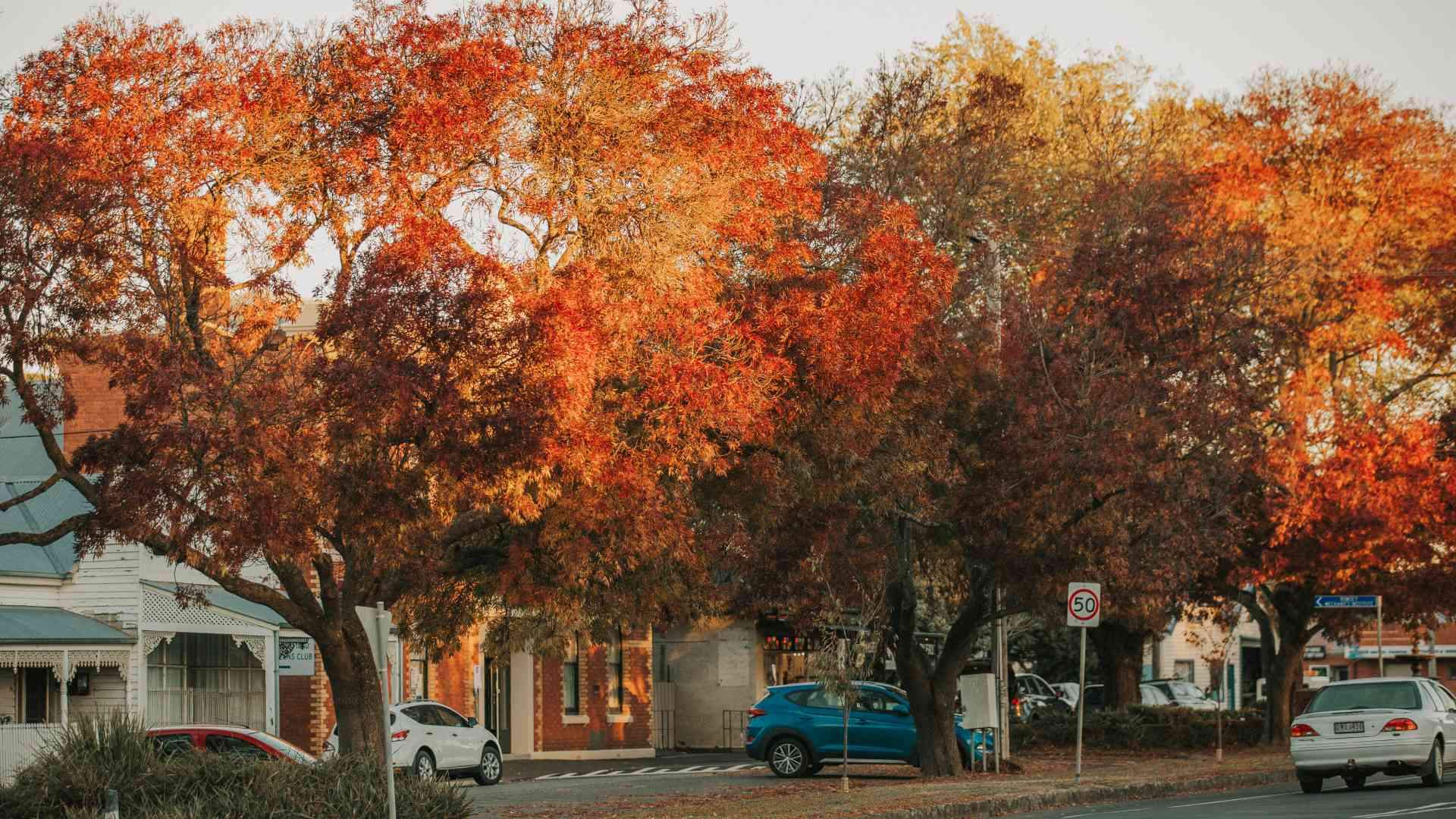 Macedon Ranges Autumn Fest Romsey supplired 1920x1080