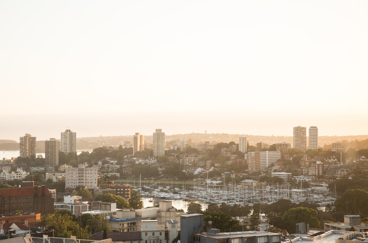 Potts Point View