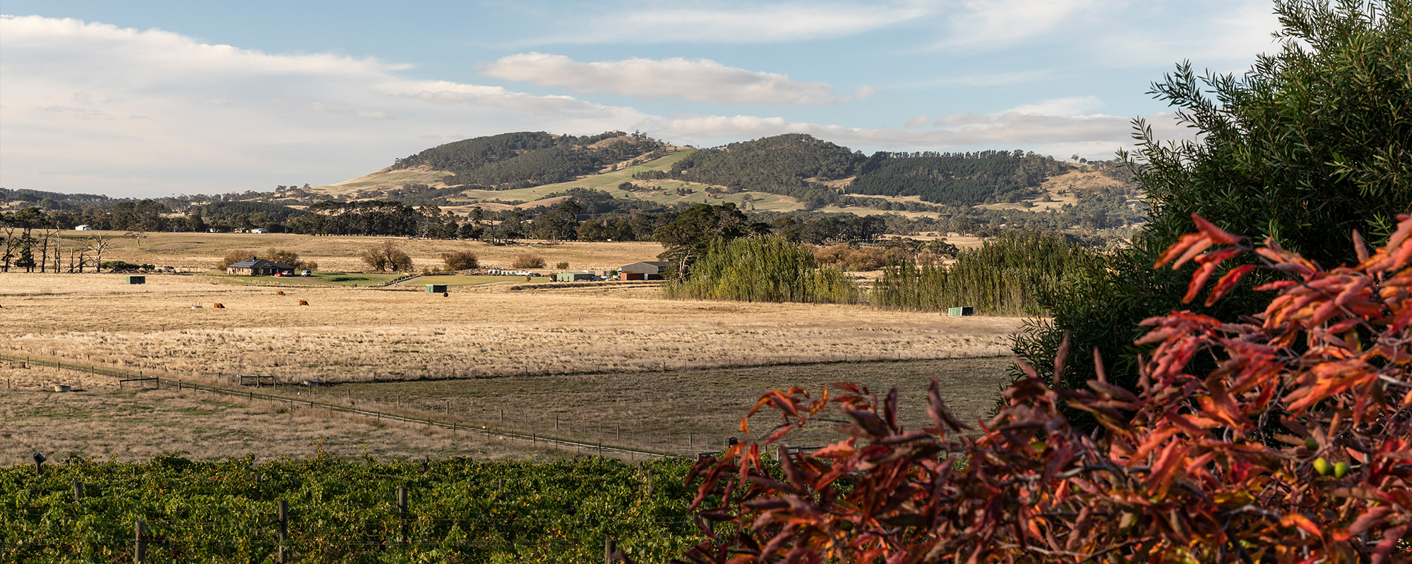 Cleveland Winery Exterior 3