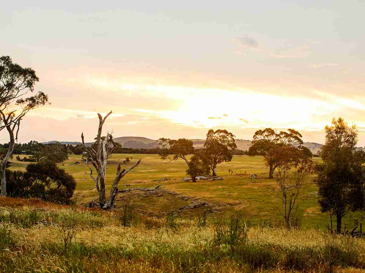 lancemore macedon ranges perfect location 1200 x 900